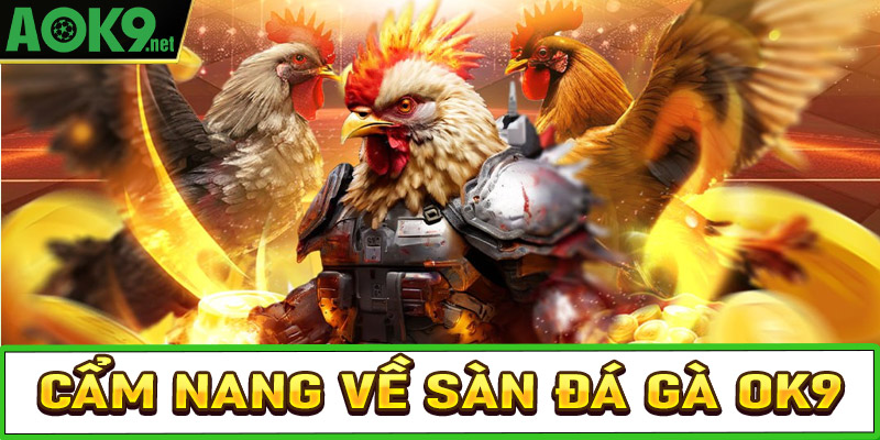 Cẩm nang về sảnh game cá cược đá gà OK9 