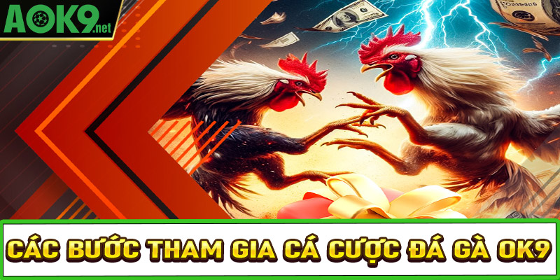 Hướng dẫn các bước tham gia cá cược đá gà OK9 